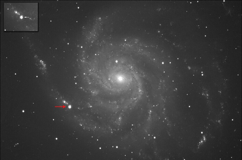 M101 and supernova