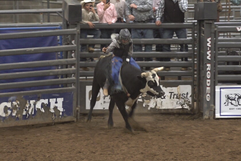 Sd Jr. High Rodeo South Dakota Junior High Rodeo State Finals underway in Rapid City ...