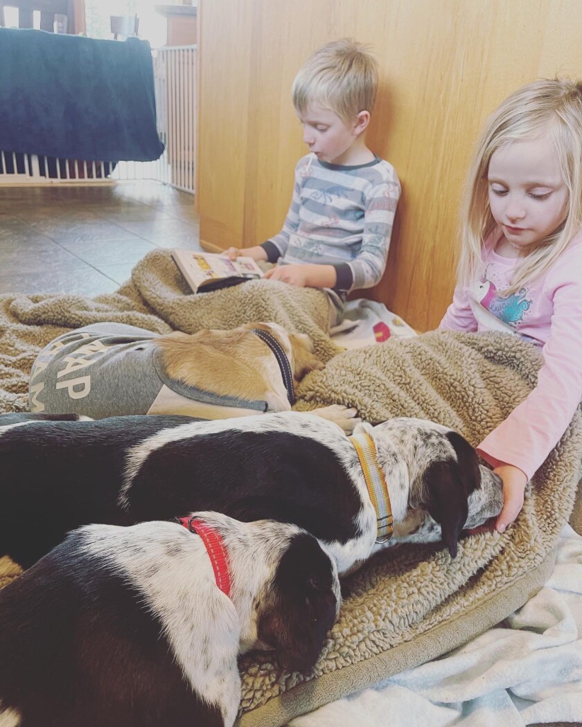 Los hijos de Angie Adams la ayudan a cuidar perros adoptivos