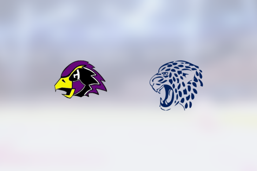 img_500231700_rinklive.png