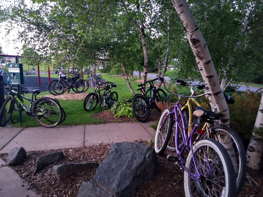 Bicycles locked to trees and signs in a park-like area