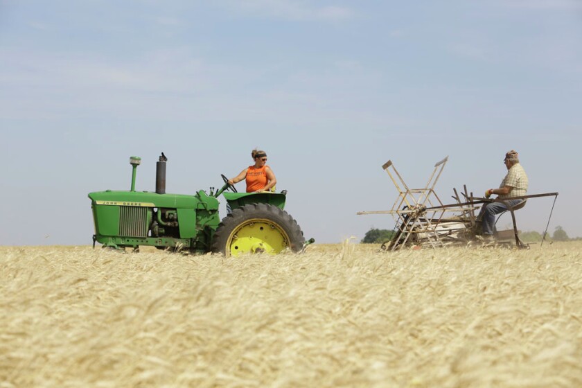 1021602+081414.N.GFH_.WHEATHARVEST2 copy.jpg