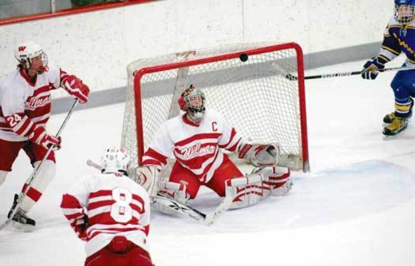 Follow the bouncing puck
