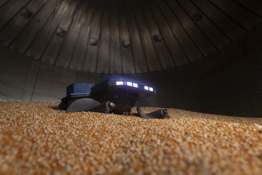 The Grain Weevil robot