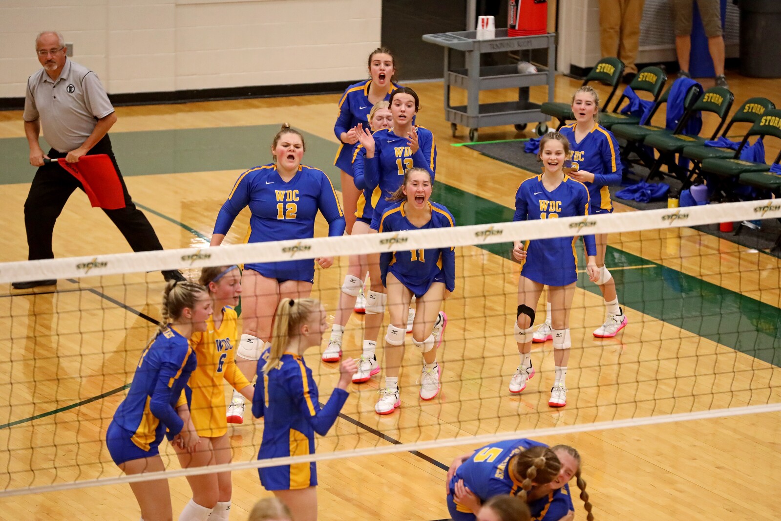 Pequot Lakes vs Wadena-Deer Creek Volleyball on Thursday, Nov. 3, 2022, in Sauk Rapids.