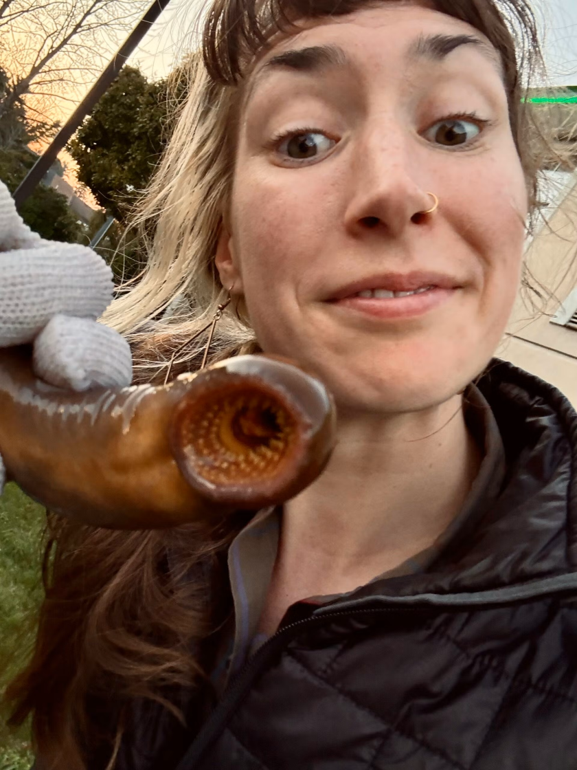 A woman holds up a sea lamprey