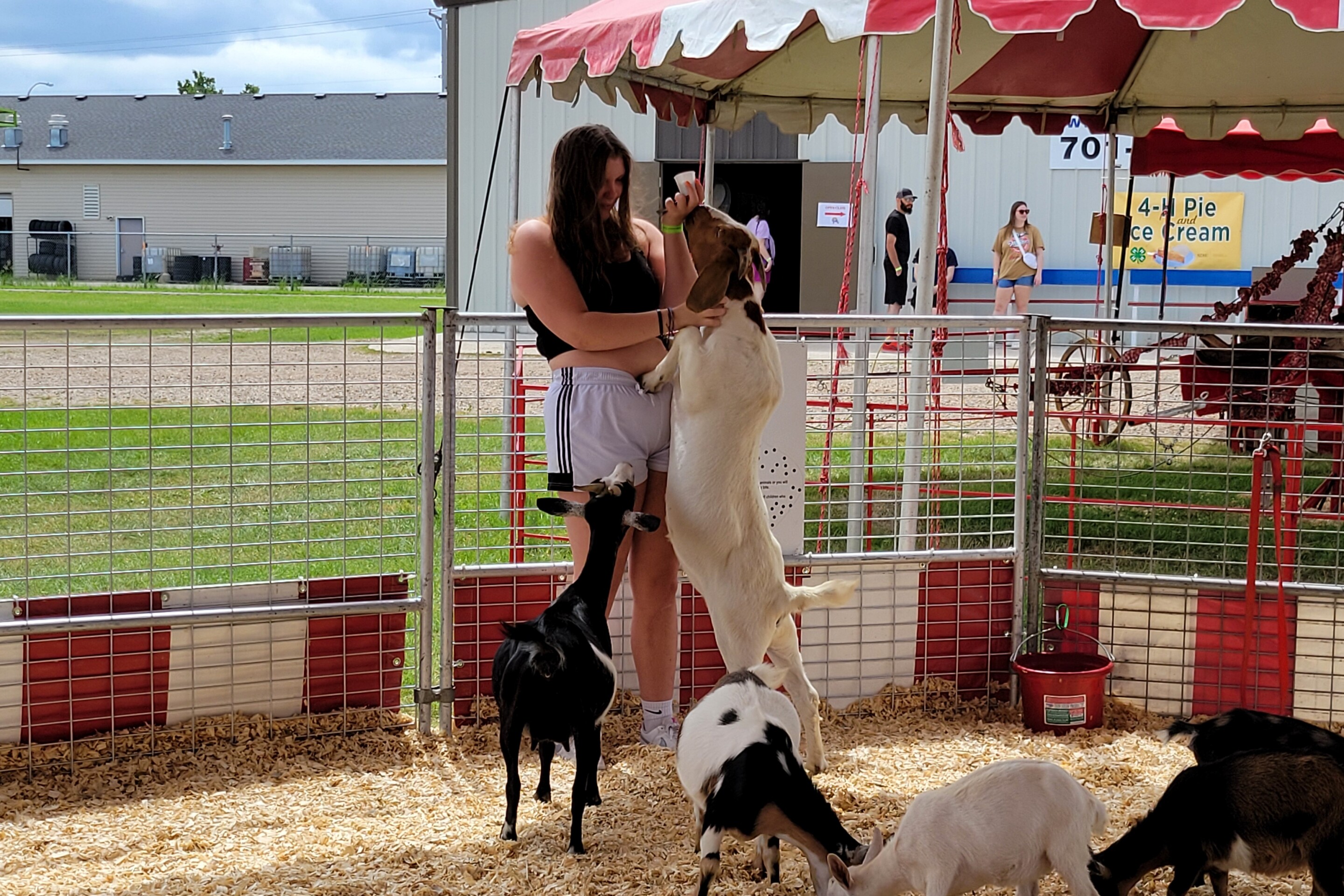 Grand Forks Fair 2025