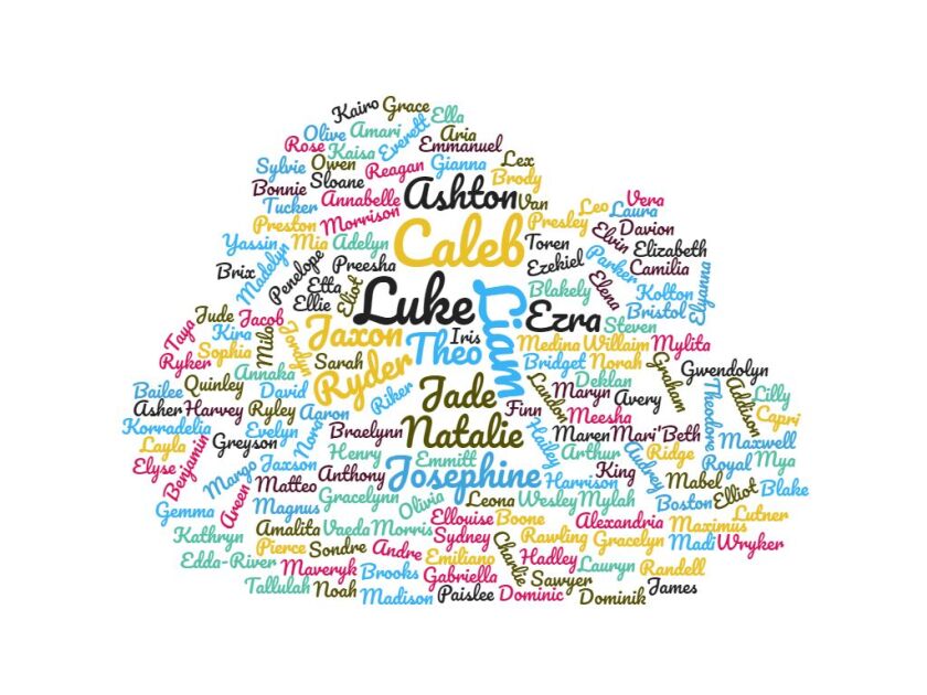 wordcloud nurserynews 060921.jpg