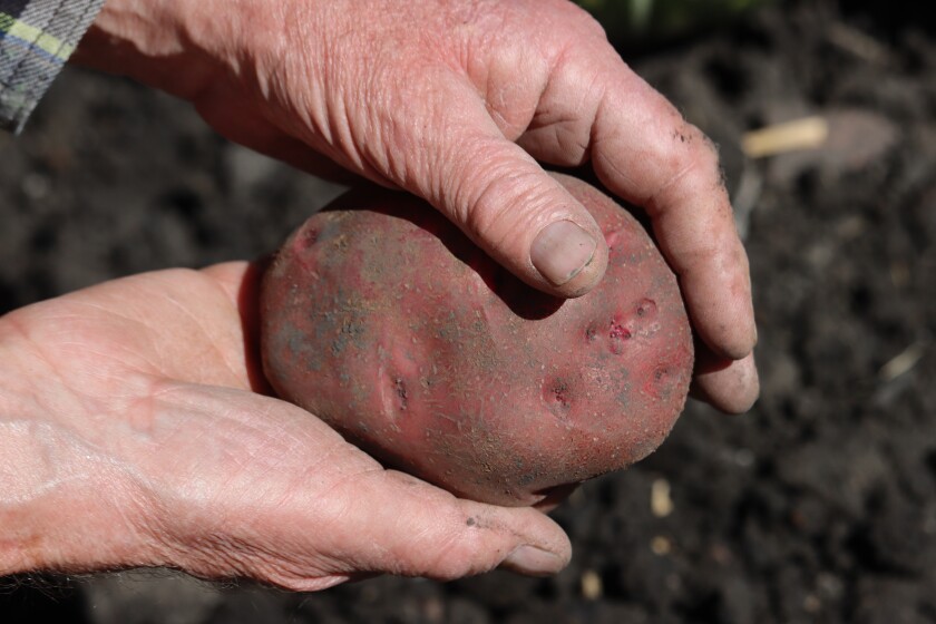 100122.F.FF.GrowingTogether.3