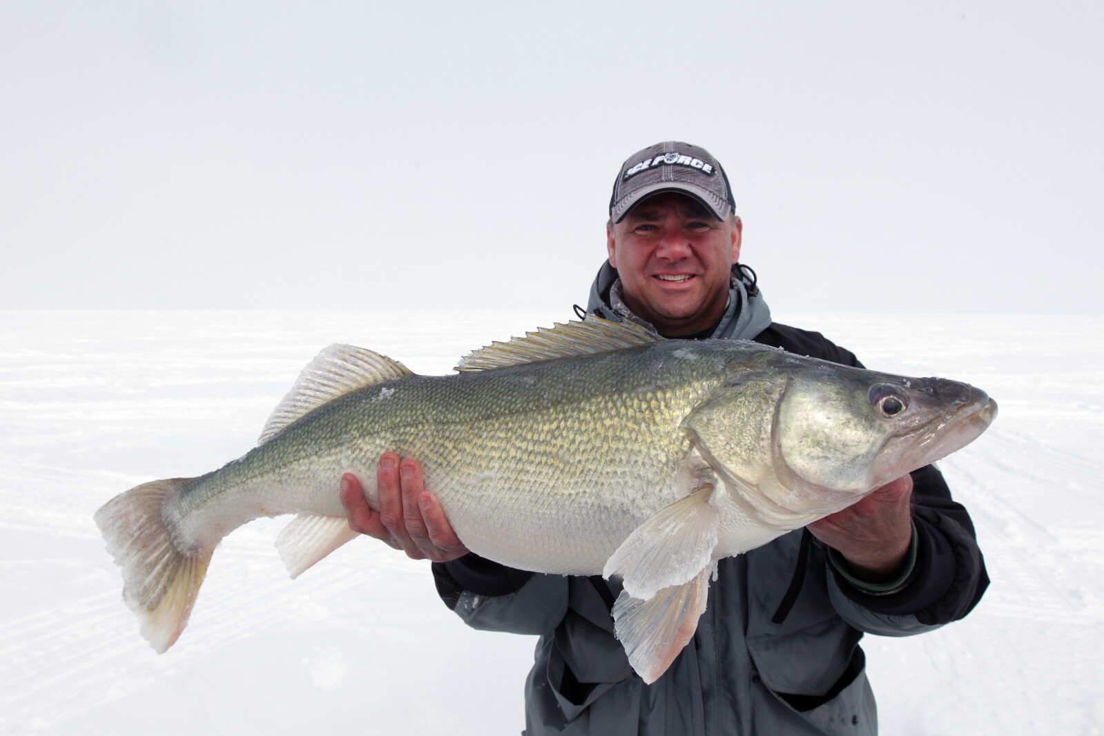 Meiller Fish 5 tips for better fish photos