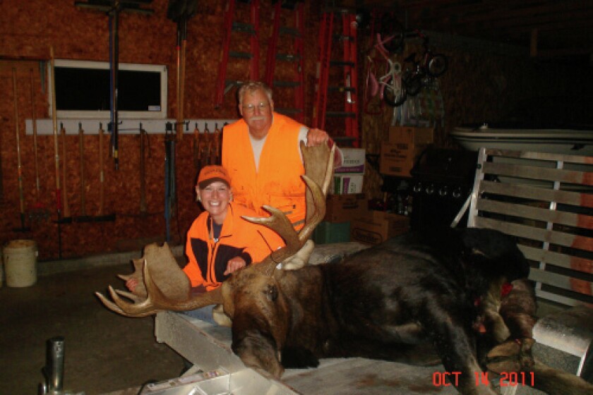 Success rate rises in Minnesota moose hunt - Duluth News Tribune | News ...
