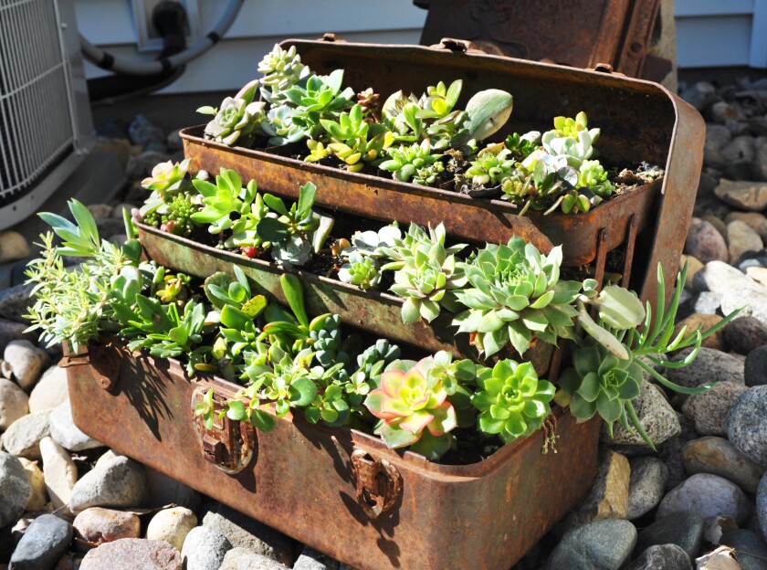 Garden tour
