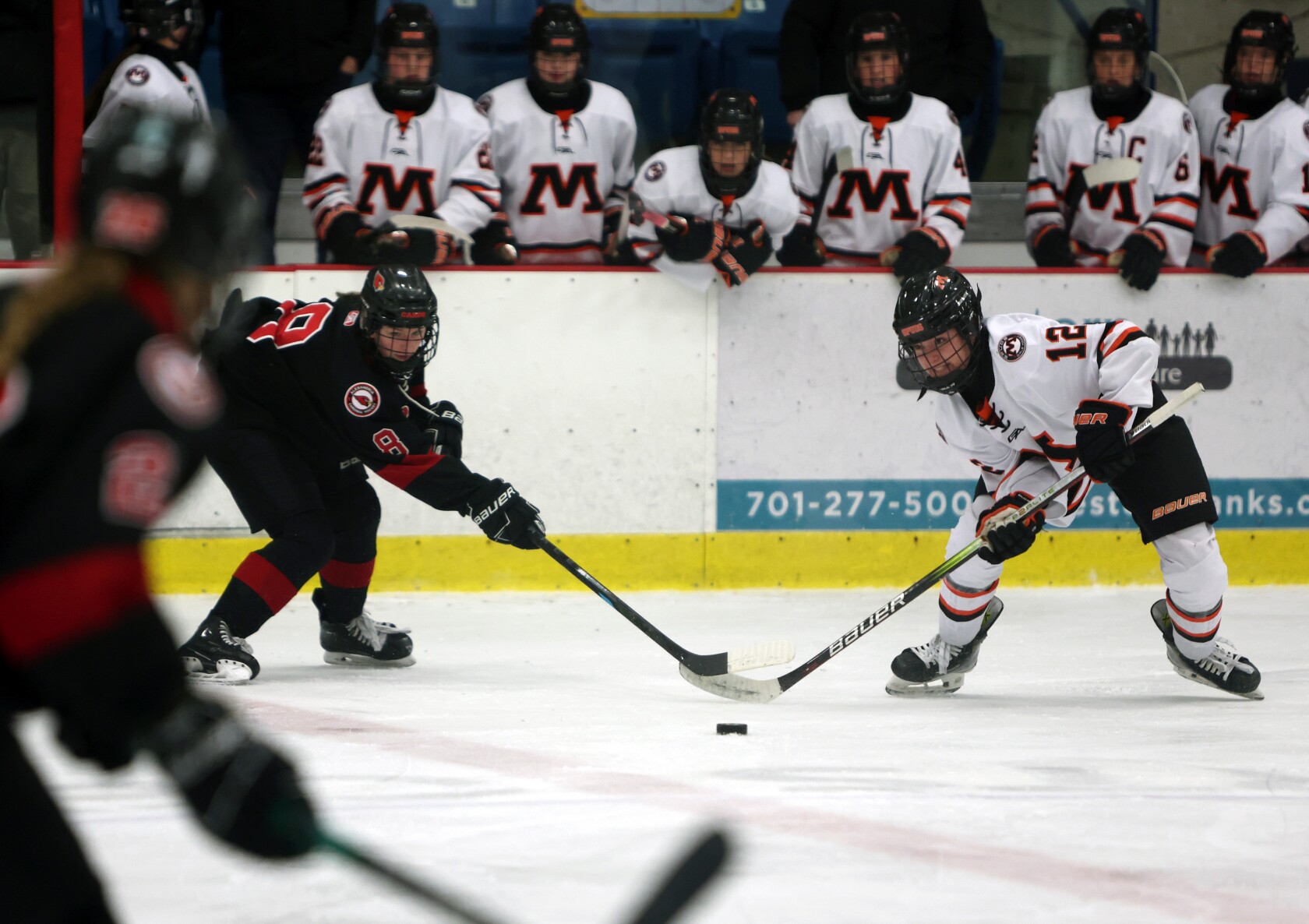 Spuds girls hockey stymies No. 4 Alexandria in section semis InForum