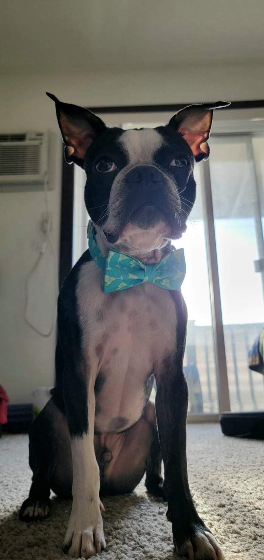 Murphy1stKariShamp.jpg