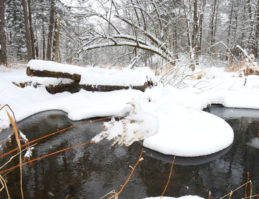 Heavy snow hangs on trees Friday morning in Fritz Loven Park in Lake Shore. It was reported the area received nearly 8 inches of snowfall. Steve Kohls / Brainerd Dispatch