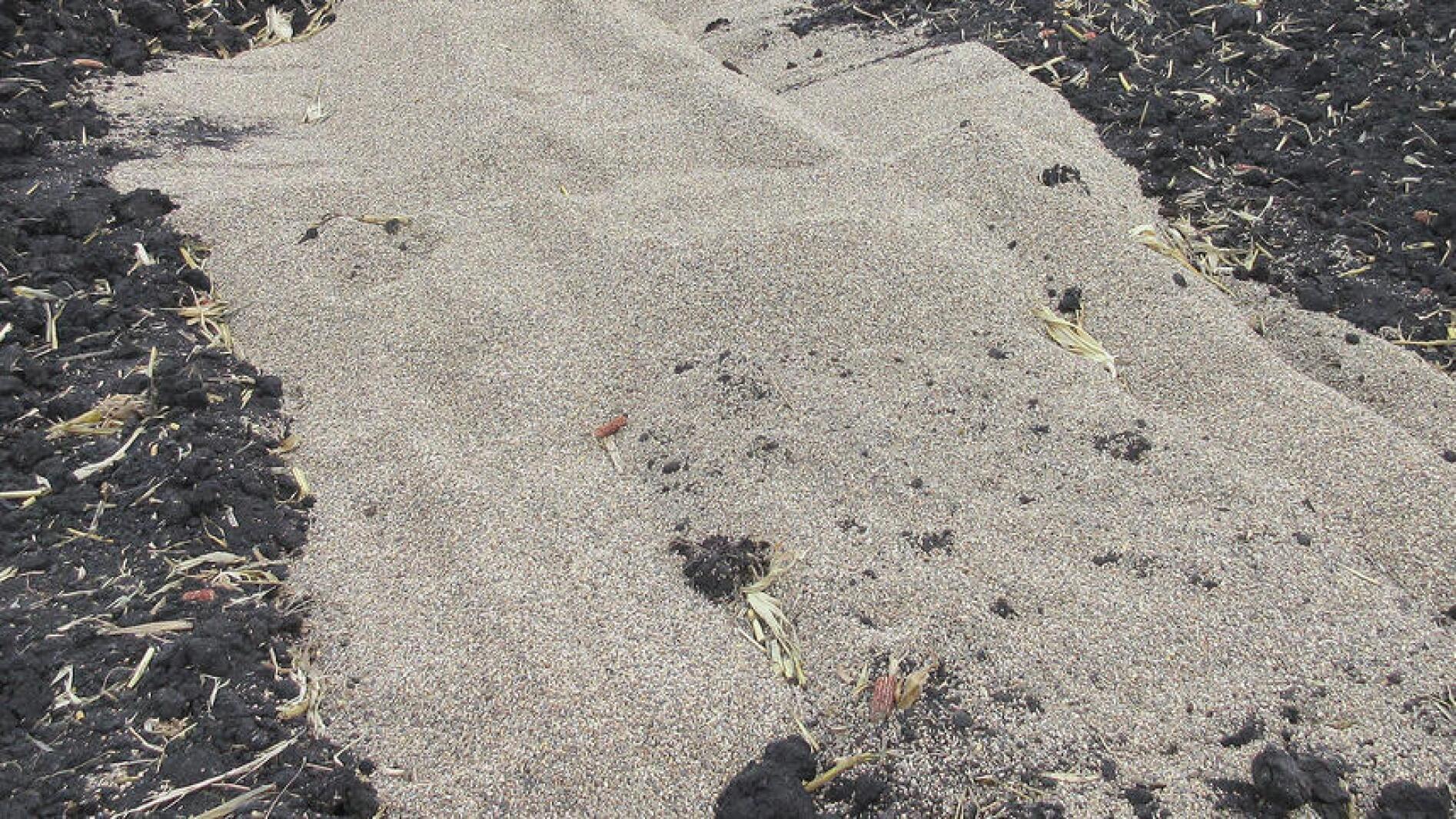 Minnesota watershed district talks tile intakes - Agweek | #1 source ...