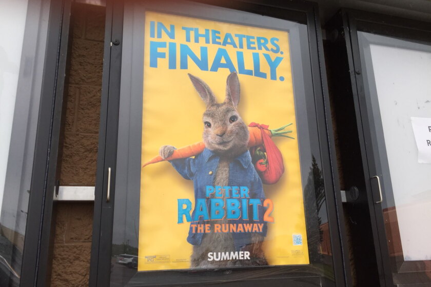 Review: ‘Peter Rabbit’ sequel (finally) hops its way into theaters ...