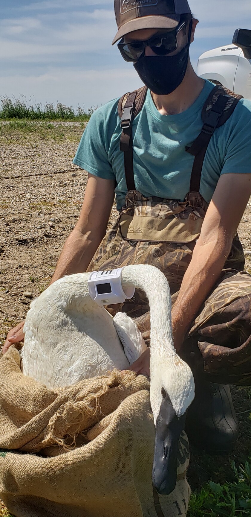081520.O.GFH.MNSWANS-Photo 2 David Wolfson and swan 2.jpg