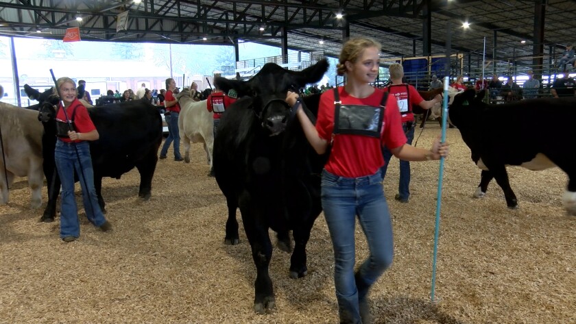 SD State Fair .jpg