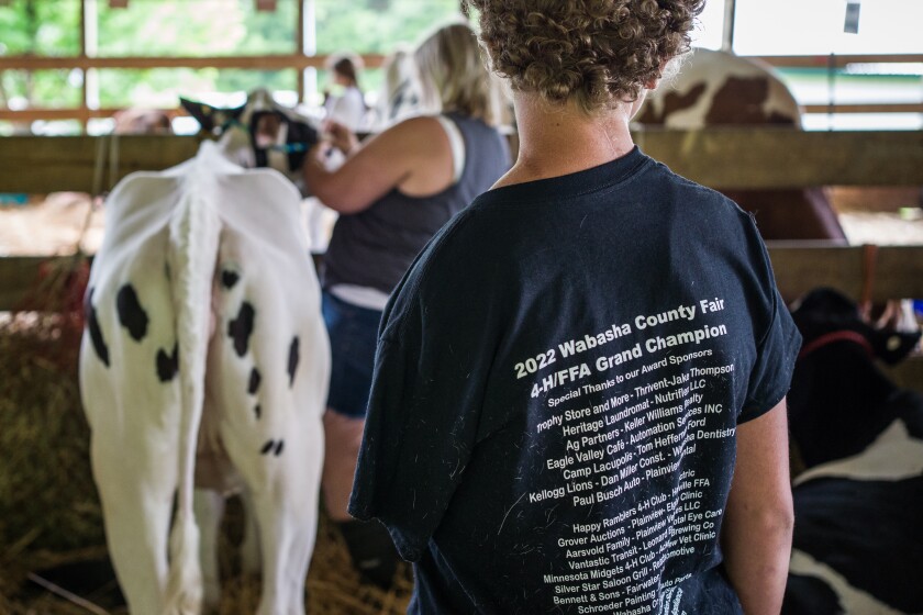 Wabasha County Fair