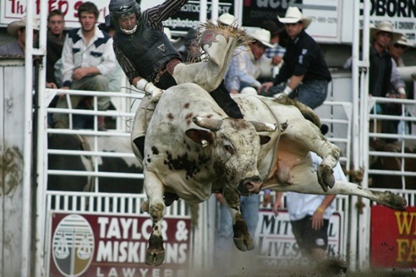 Two Bull Riders Taken By Ambulance After Injuries At 15th Annual Miller Lite Bull Bash Mitchell Republic News Weather Sports From Mitchell South Dakota Two Bull Riders Taken By Ambulance After Injuries At 15th Annual Miller Lite Bull Bash Mitchell Republic News Weather Sports From Mitchell South Dakota