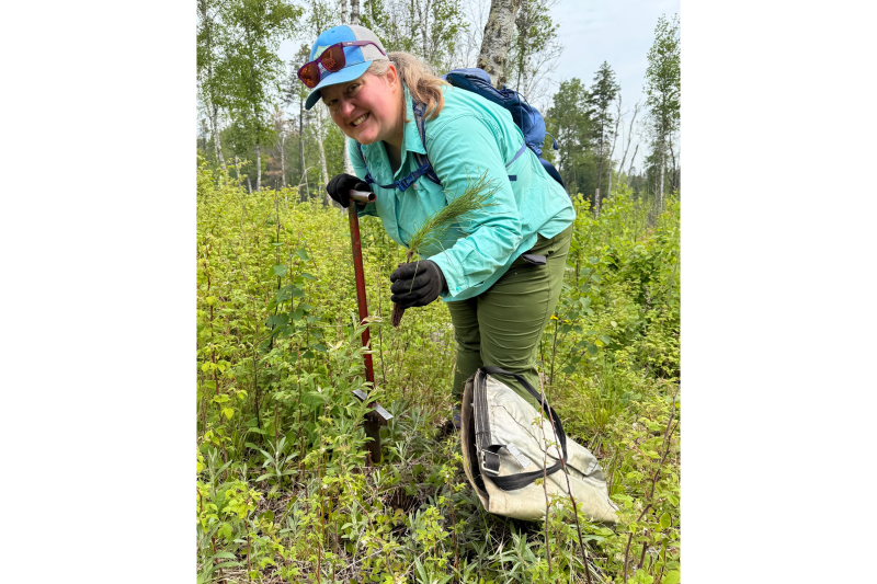 Volunteerism is the lifeblood of Friends of the Superior National Forest
