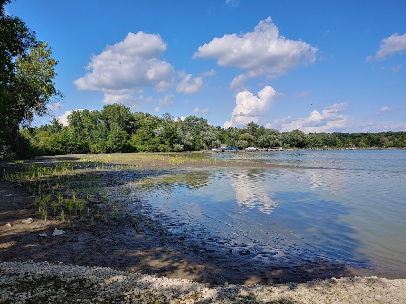 Mississippi River drawdown completed in central Minnesota