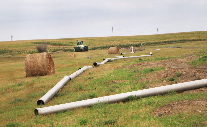 092021.AG.DroughtMcCluskyCanalIrrigation04.jpg