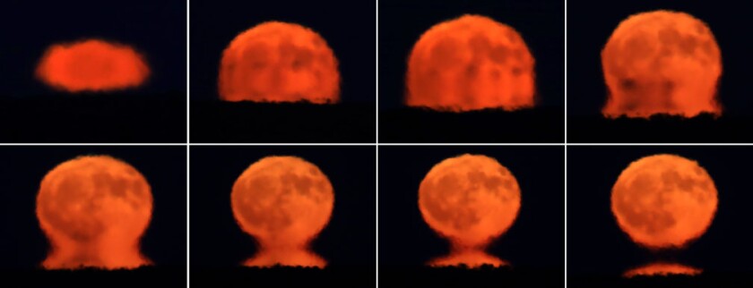 August Brings the Return of Manoominike-Giizis, the Ricing Moon ...