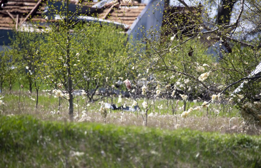 Pieces of insulation sit snagged in the brush along U.S. Highway 12 just west of Murdock on Friday, May 13, 2022.