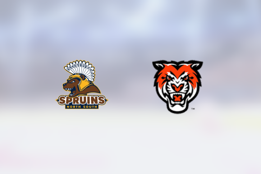 img_500245266_rinklive.png