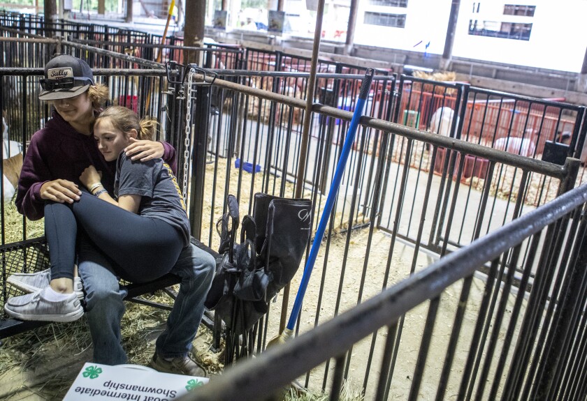Dalton Hanson holds girlfriend Abby Behl in his arms as they relax together in a livestock pen at the Kandiyohi County Fairgrounds on the morning of Friday, August 12, 2022.