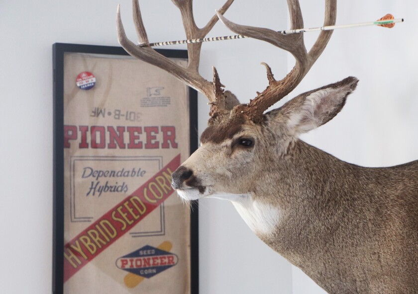 A deer trophy adorns the wall in the Reuman Ag office building at Presho, S.D., flanked by a vintage Pioneer Seed bag, framed as art.
