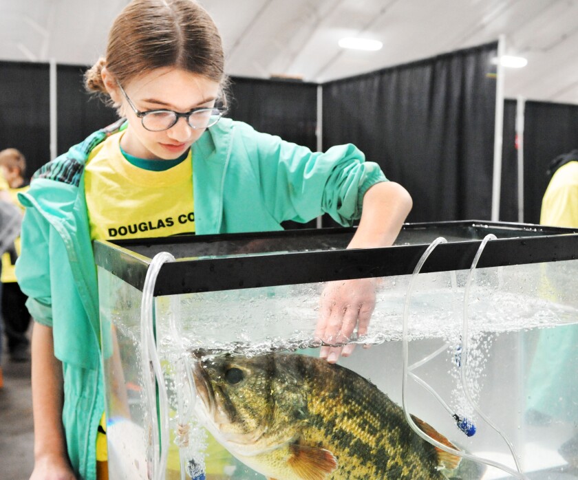 Student touching a fish