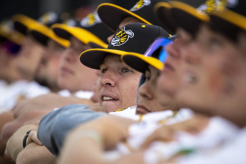 Stingers baseball 003.jpg