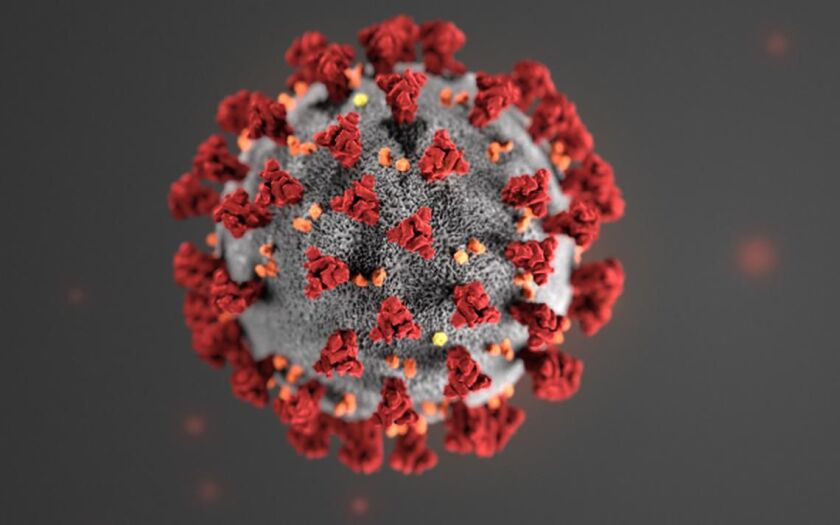 Virus