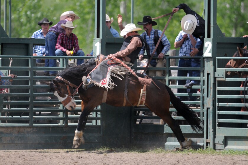 Locals hoping to show well at Roughrider Days Rodeo - The Dickinson ...