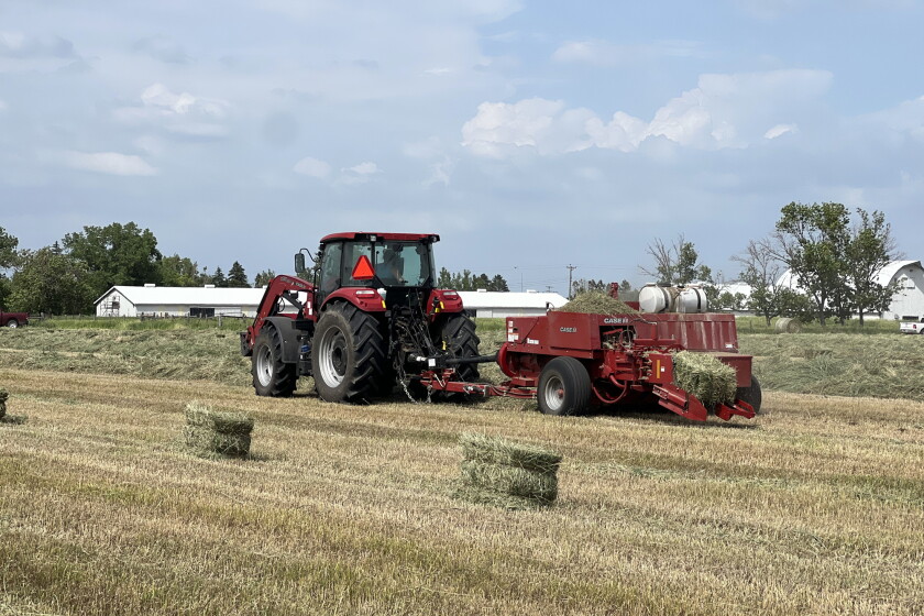 Baling Box Curing Properly curing hay is crucial for forage quality - Jamestown Sun ...