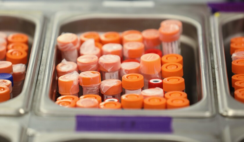 111720.N.RPB.mayolab-9813.jpg