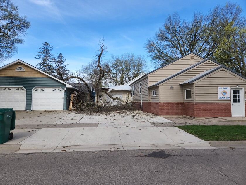 A tree fell between the P.J. Casey Council 2029 on Gilman Avenue in Litchfield.