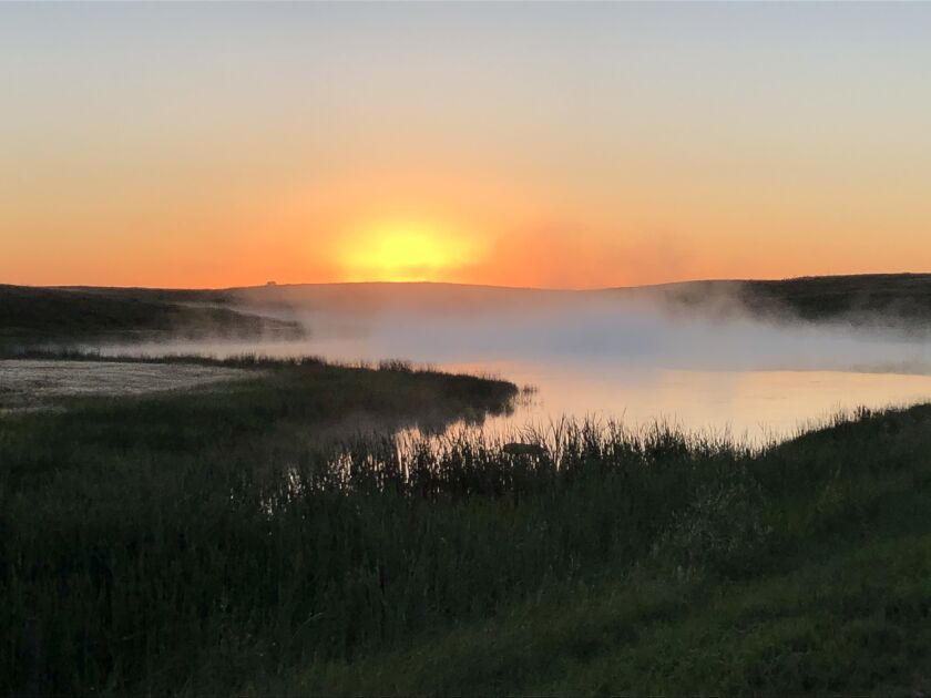 Greg Lardy Photo 5.jpg