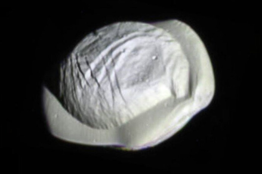 3217233+Pan v2 front.jpg