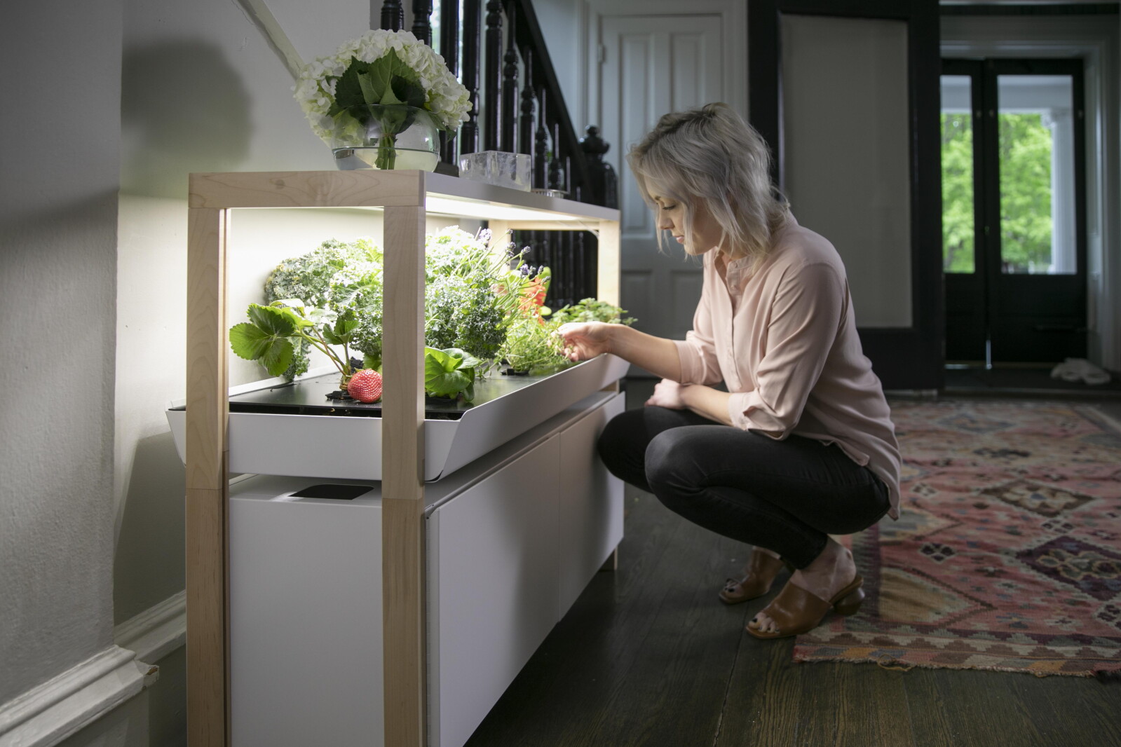 Smart Growing Tech Savvy: Keep the garden going this winter, indoors with a smart ...