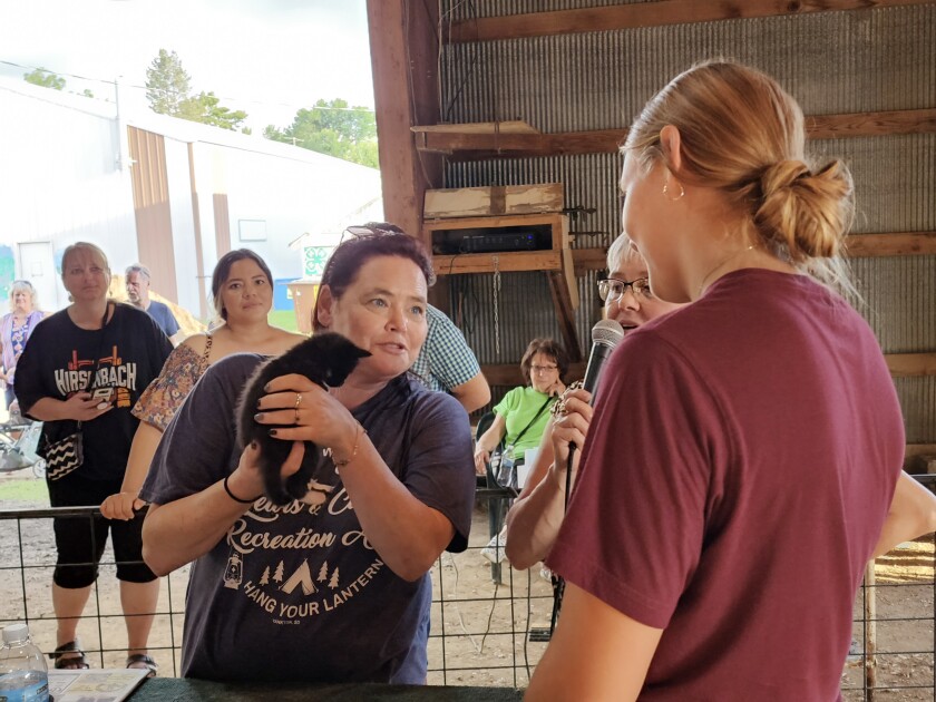 Judge Autumn Hunter holds a tiny kitten during the Household Cat & Kitten Show on Wednesday, Aug. 10, 2022, at the Jesse Oleson Pavilion during the Cottonwood County Fair.