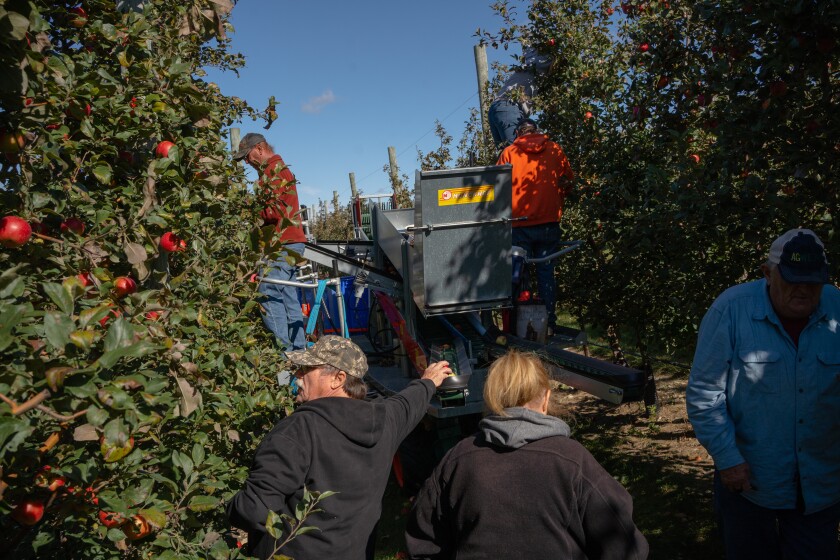 Apples R Us Orchard & Distillery