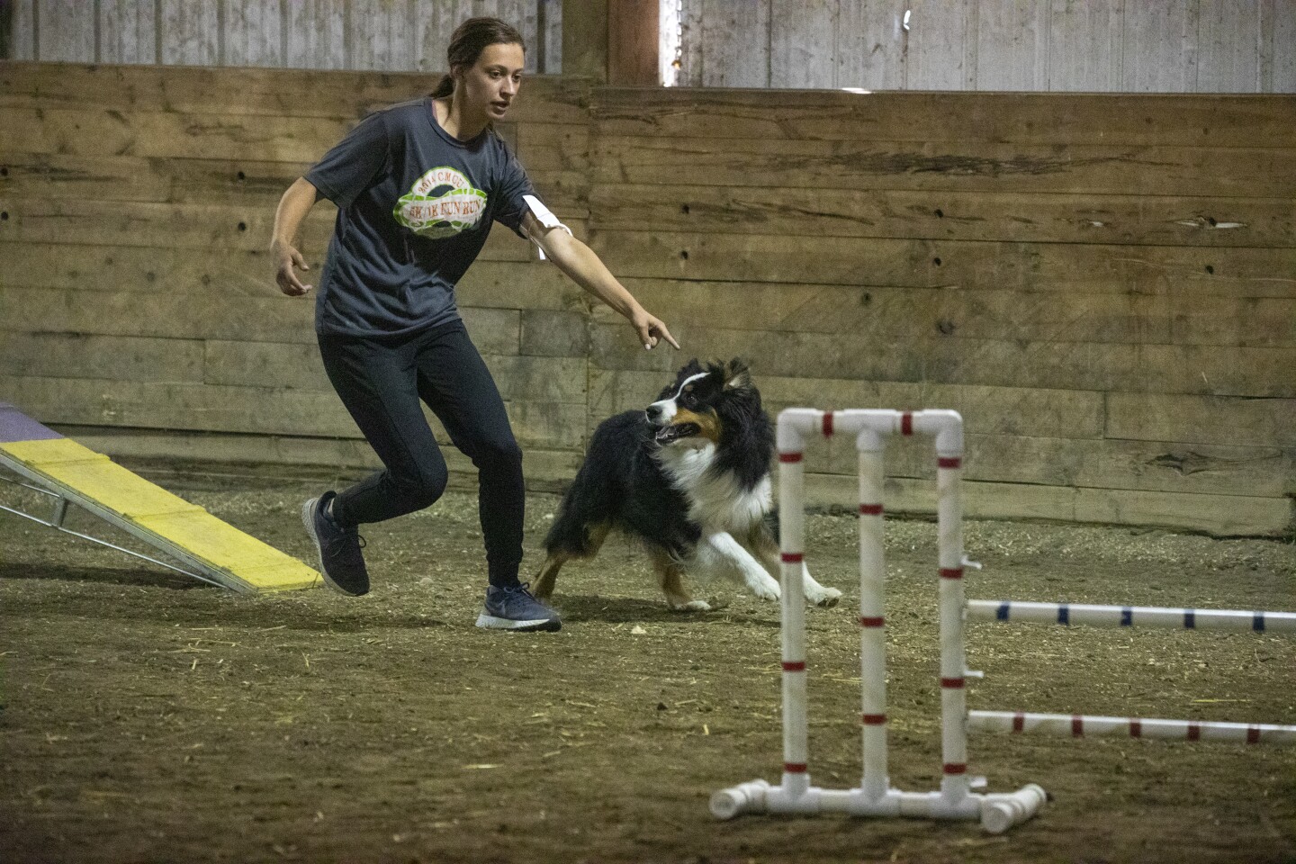 Photos: Kandiyohi County Fair hosts dog agility competition - West ...