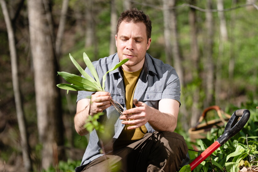 Celebrity forager, chef coming to Pine River - Pine and Lakes Echo ...