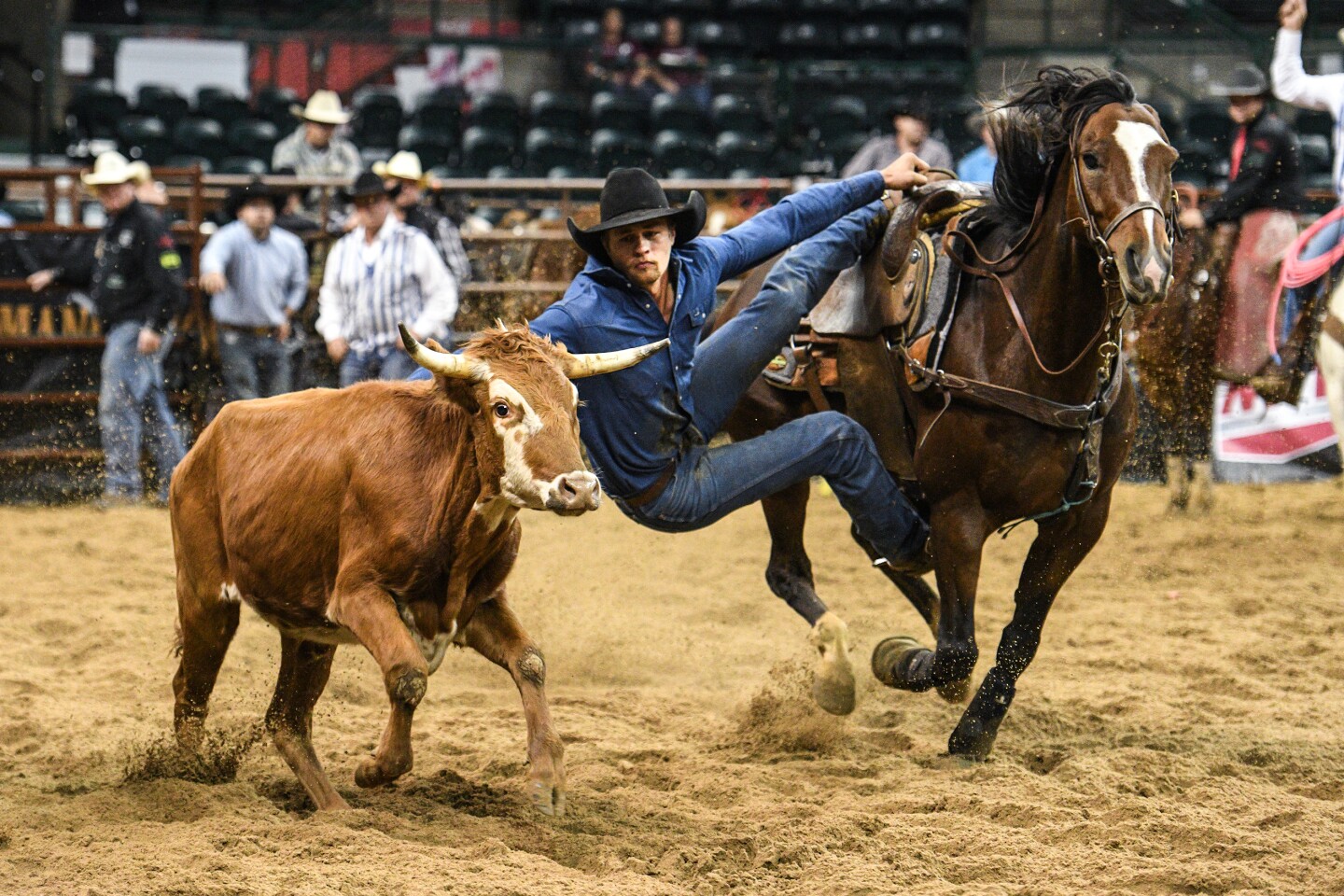 Photos: Minnesota Rodeo Association Finals underway at Sanford Center ...