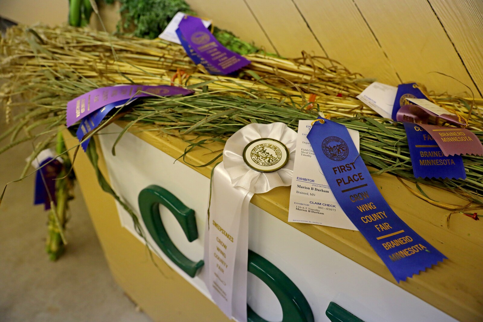 Crow Wing County Fair Aug. 2022.