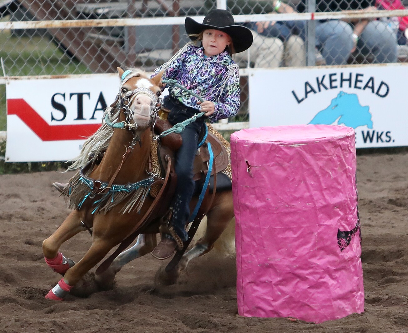 Photo gallery: 2019 Great Northern Classic Rodeo in Superior - Duluth ...